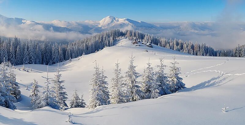 Tolle Resonanz beim Dacia Adventskalender: viele glückliche Gewinner/-innen