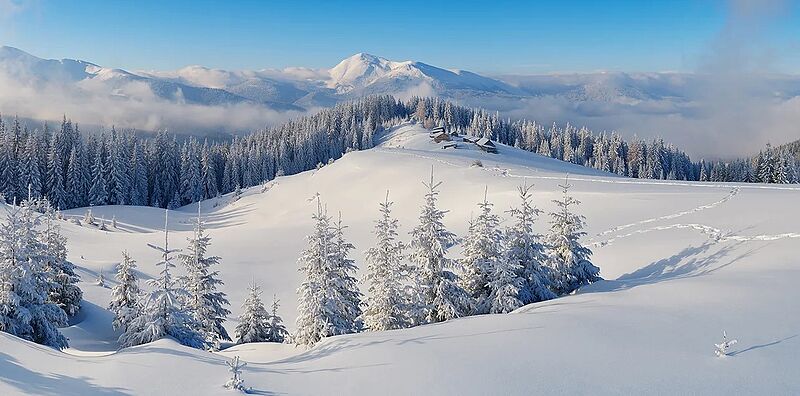 Mitmachen lohnt sich: der Dacia Adventskalender