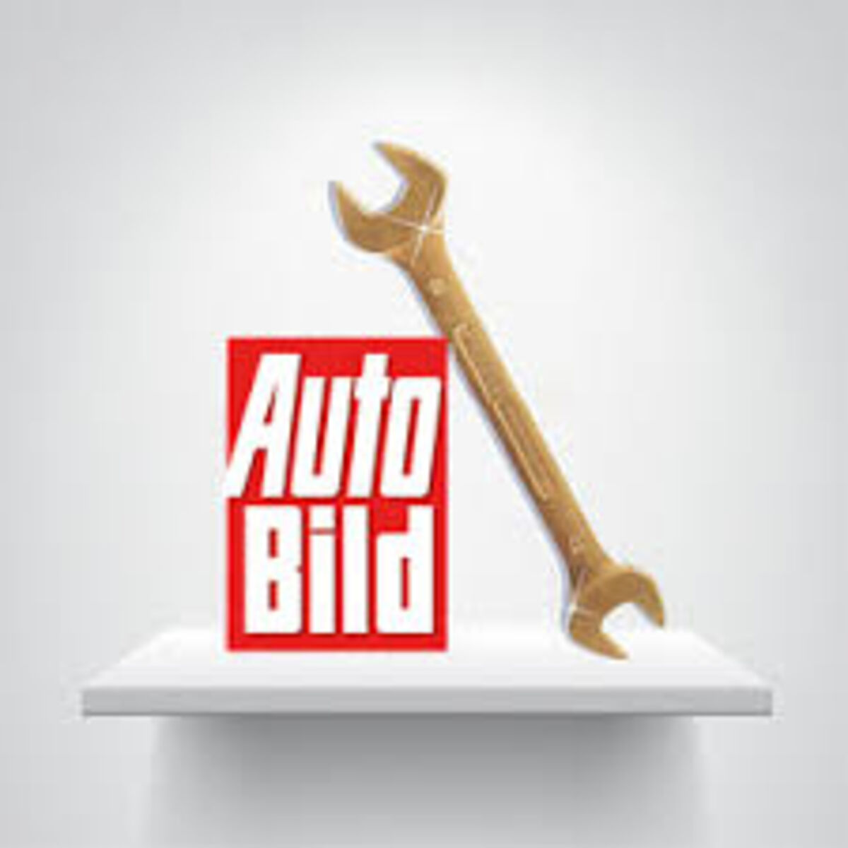 „Super Arbeit statt großer Worte“ - Goldener Werkstattschlüssel error_file_does_not_exist